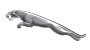 Jaguar car