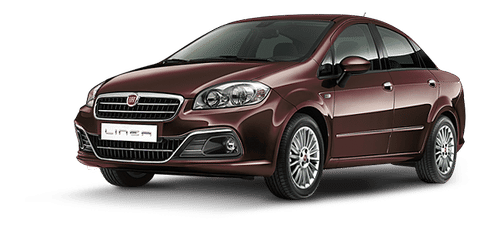 Linea Front angle low view