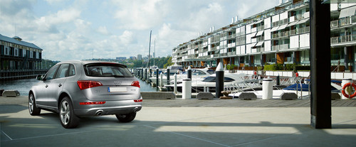 Rear Cross Side View of Audi Q5