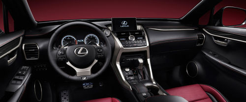 Dashboard View of NX