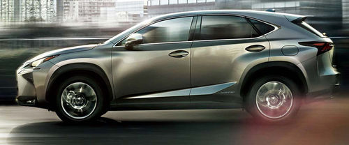 NX Side view