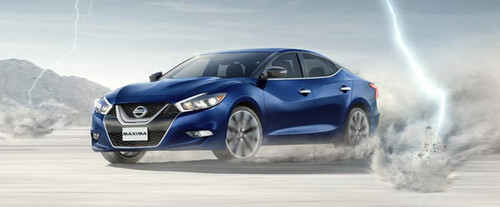 Maxima Front angle low view