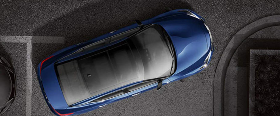 Top View of Maxima