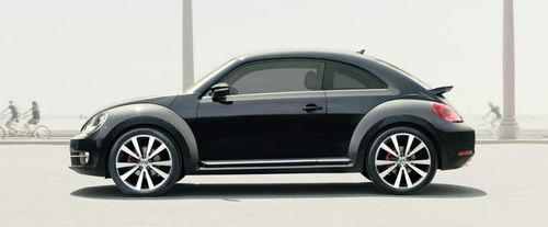 Beetle Side view