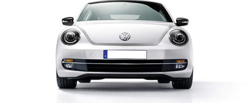 Full Front View of Beetle