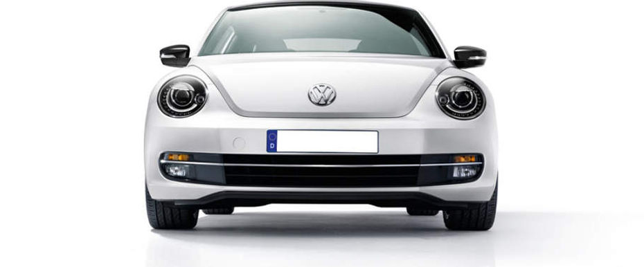 Full Front View of Beetle