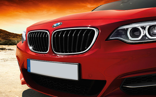 2 series coupe Grille View