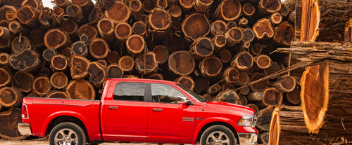 Dodge RAM 1500 Drivers Sideview