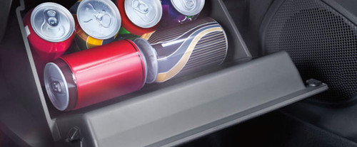 Ford EcoSport Glove Box Open