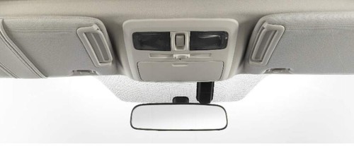 Forester Courtesy Lamps