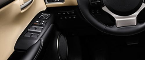 Lexus NX Drivers Side In Side Door Controls