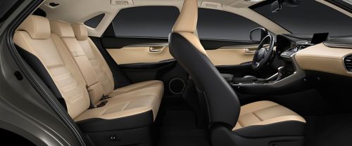 Lexus NX Front And Rear Seats Together