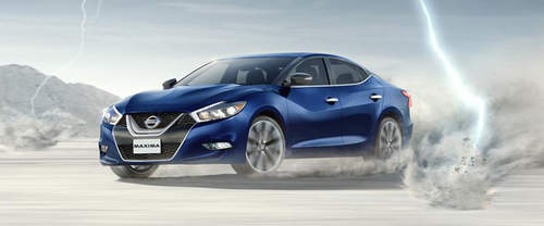 Maxima Front angle low view
