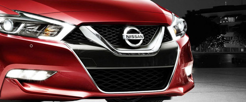Maxima Grille View