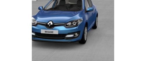 Megane Grille View