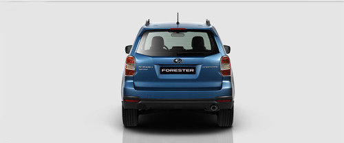 Full Rear View of Subaru Forester
