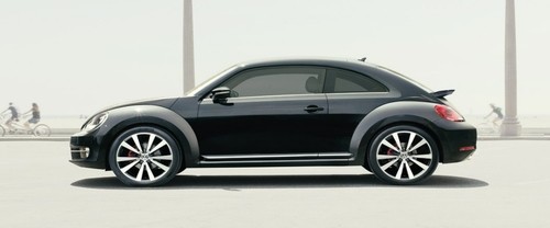 Beetle Side view