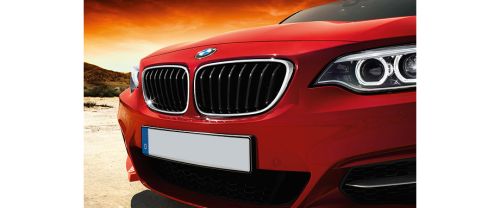 2 series coupe Grille View