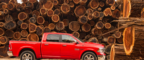 Dodge RAM 1500 Drivers Sideview